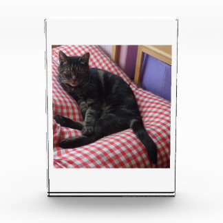 Cute Dave Acrylic Photo Block Fotoblokken