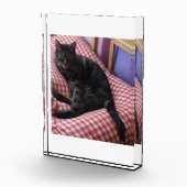 Cute Dave Acrylic Photo Block Fotoblokken (Rechts)