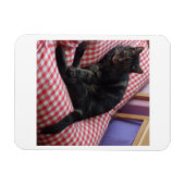 Cute Dave Flexible Photo Magnet Magneet (Horizontaal)