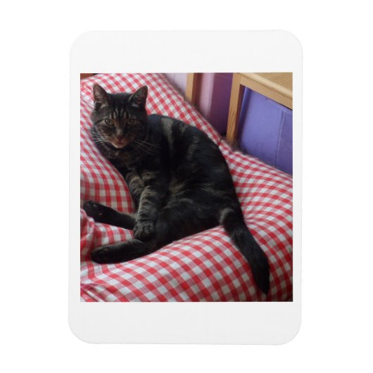 Cute Dave Flexible Photo Magnet Magneet (Verticaal)