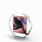 Cute Dave Octagonal Photo Block Fotoblokken (Rechts)