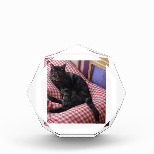 Cute Dave Octagonal Photo Block Fotoblokken (Voorkant)