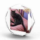 Cute Dave Octagonal Photo Block Fotoblokken (Rechts)