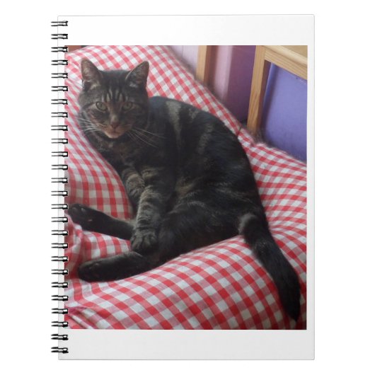 Cute Dave Spiral Notitieboek (Voorkant)