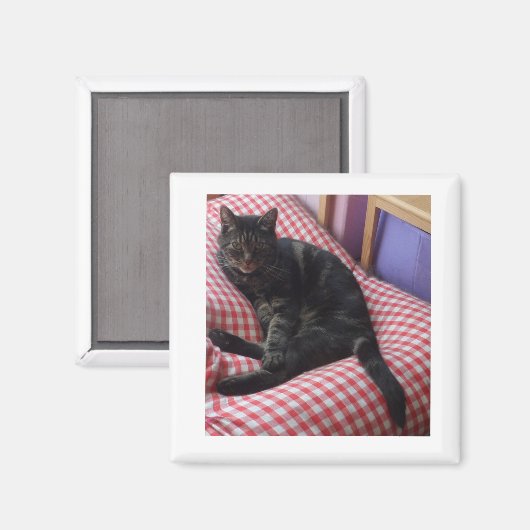 Cute Dave Square Magnet Magneet (Voorkant / Achterkant)