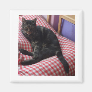 Cute Dave Square Magnet Magneet