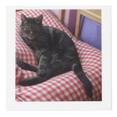 Cute Dave Square Photo Cube Kubus (Voorkant)