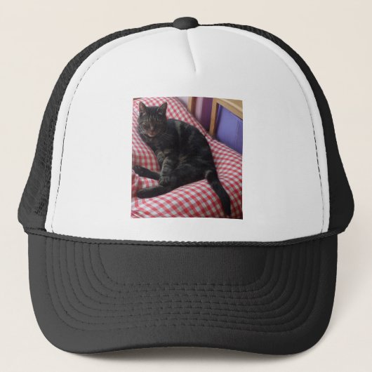 Cute Dave Trucker Pet (Voorkant)