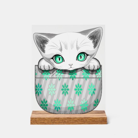 Cute de chat et pointe joueuse à partir d'une poch (Recto)