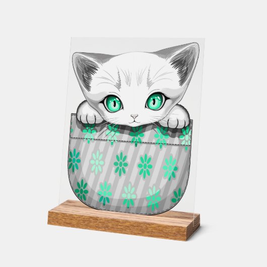 Cute de chat et pointe joueuse à partir d'une poch (Angle)