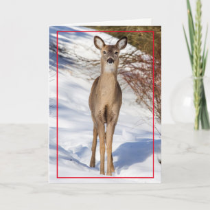 Cute Deer in de sneeuw Feestdagen Kaart