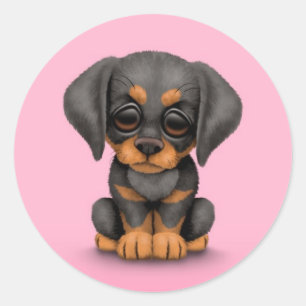 Cute Doberman Pinscher Puppy Dog op Roze Ronde Sticker