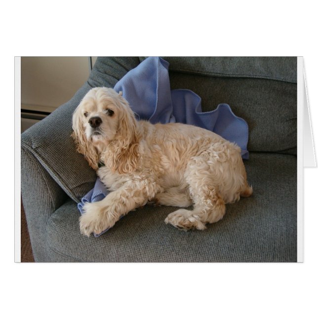 Cute Dog (Voorkant Horizontaal)