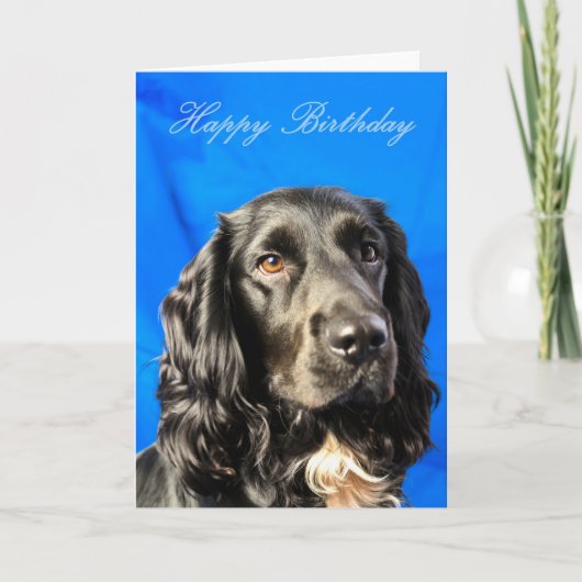 Cute Dog Birthday Card Kaart (Voorkant)