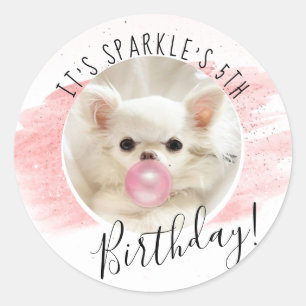 Cute Dog Birthday Party Sparkle the Tiny Chi Ronde Sticker