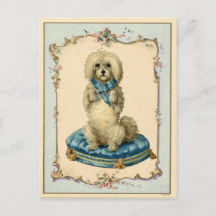Cute Dog Blue Cushion  reproductie Briefkaart