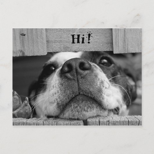 Cute Dog Briefkaart (Voorkant)