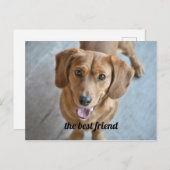 Cute Dog Briefkaart (Voorkant / Achterkant)