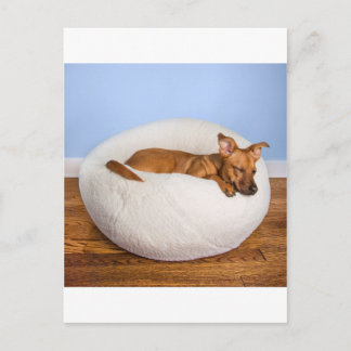 Cute dog briefkaart