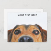 Cute Dog Face Peeking Briefkaart (Voorkant / Achterkant)