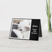 Cute Dog Funny 40th Birthday Kaart (Voorkant)