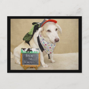 Cute Dog Funny Back to School Briefkaart