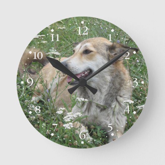 Cute Dog Green Grass Clockface 1 Ronde Klok (Voorkant)