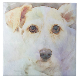 Cute Dog Head Face Eyes Sketch Tegeltje