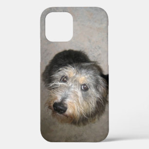Cute dog Hoesje-Mate iPhone case