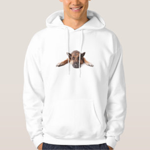 Cute dog hoodie