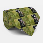 Cute dog in gras stropdas (Opgerold)