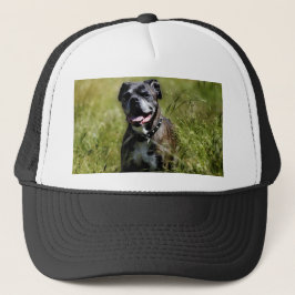 Cute dog in gras trucker pet