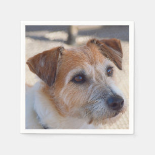 Cute dog inapkins servet