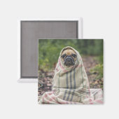 Cute Dog magnet 2 Magneet (Voorkant / Achterkant)