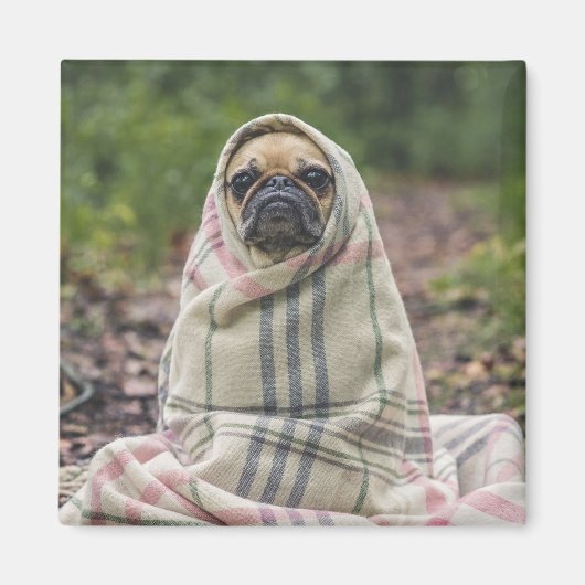 Cute Dog magnet 2 Magneet (Voorkant)