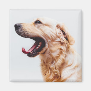 Cute Dog magnet 6 Magneet