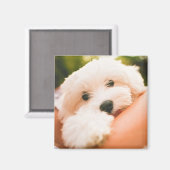 Cute Dog magnet 9 Magneet (Voorkant / Achterkant)