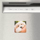 Cute Dog magnet 9 Magneet (Insitu (Vaatwasser))