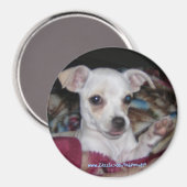 Cute Dog-Magnet. Magneet (Voorkant / Achterkant)