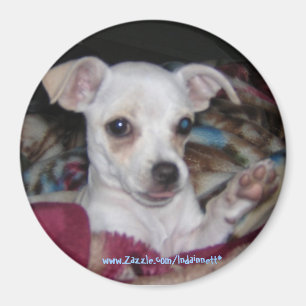 Cute Dog-Magnet. Magneet