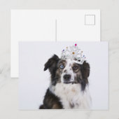 Cute Dog met kroon Briefkaart (Voorkant / Achterkant)
