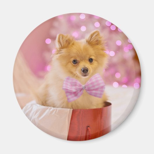 Cute Dog met Roze Bow-kerstfoto Magneet (Voorkant)