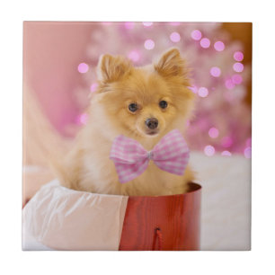 Cute Dog met roze kerstfoto's Tegeltje