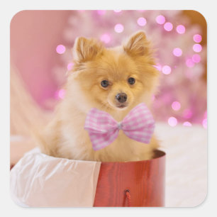 Cute Dog met roze kerstfoto's Vierkante Sticker