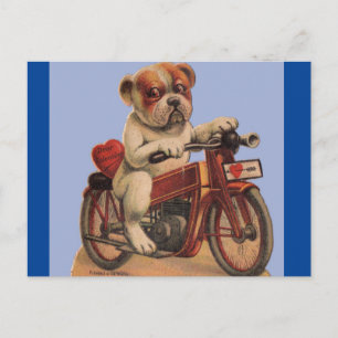Cute  Dog op Briefkaart motorfiets Valentijn