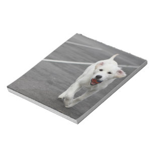 Cute dog op een blocnote