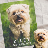 Cute Dog Personalized Pet Photo Custom