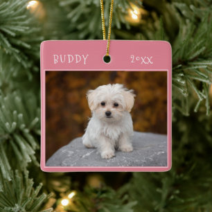 Cute Dog Pet 2 Foto's met Kerstmis Keramisch Ornament