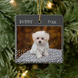 Cute Dog Pet 2 Foto's Star Pattern Kerstmis Keramisch Ornament