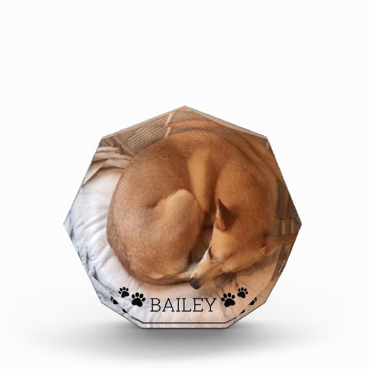 Cute Dog Pet Fotonaam Pawprint Gemstone Fotoblokken (Voorkant)
